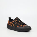 Miss Black Cortado 1 Sneaker - Leopard footwear Miss Black