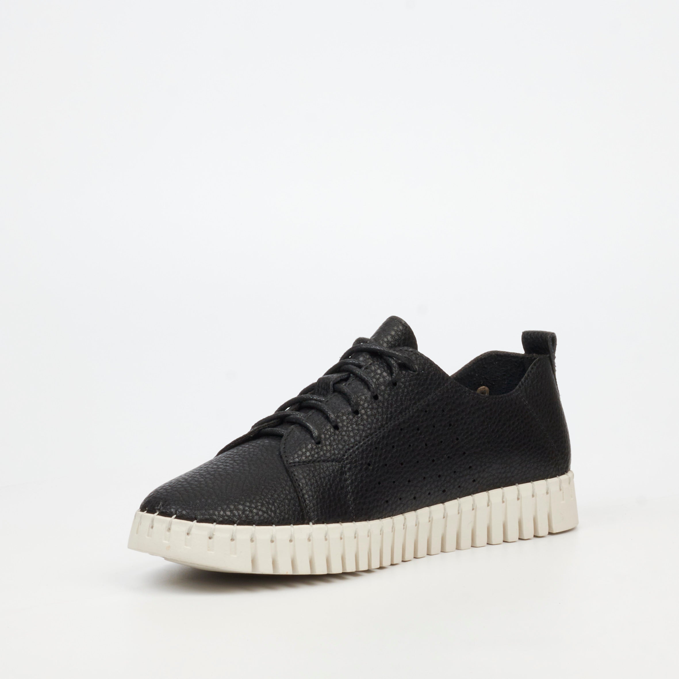 Butterfly Classics Laguna 2 Sneaker - Black footwear Butterfly Classics