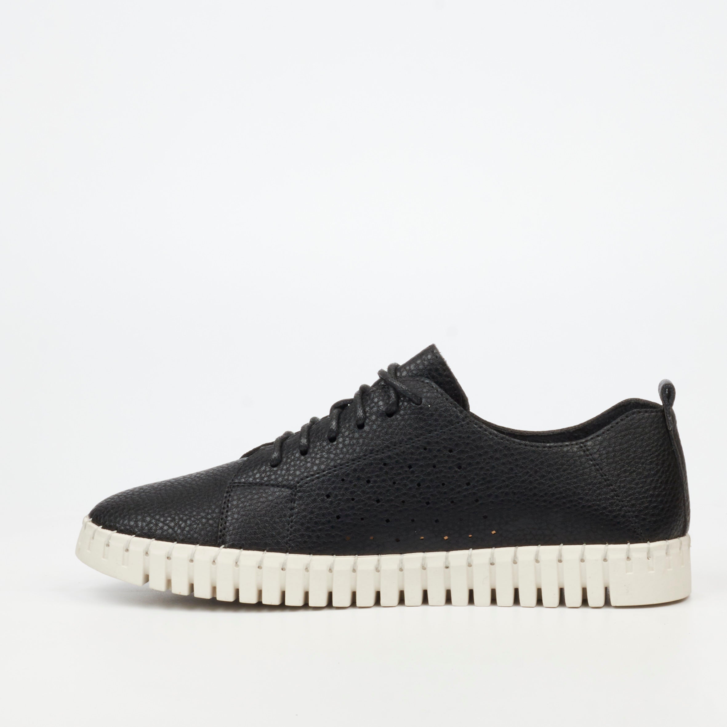 Butterfly Classics Laguna 2 Sneaker - Black footwear Butterfly Classics