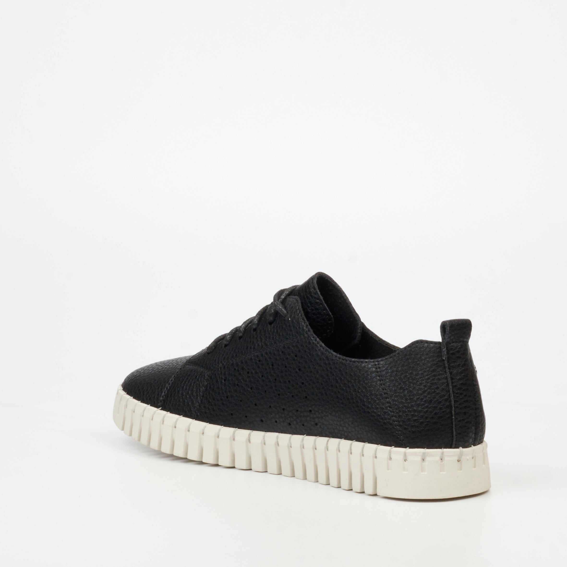Butterfly Classics Laguna 2 Sneaker - Black footwear Butterfly Classics