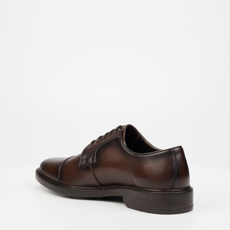 Roberto Morino Marcel 1 Genuine Leather Formal Shoe - Chocolate footwear Roberto   