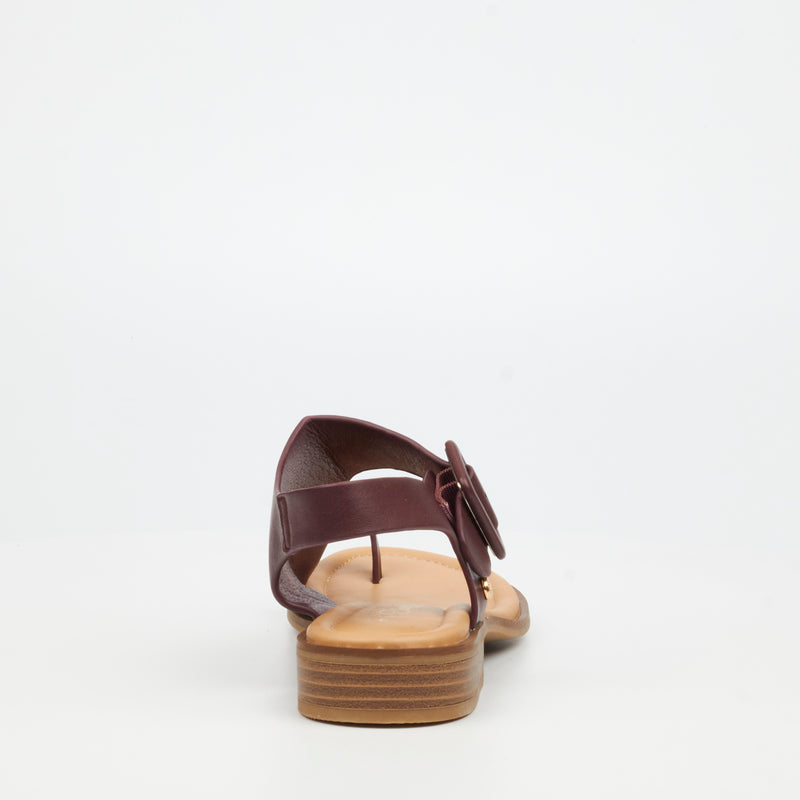 Miss Black Micah 3 Sandal - Plum footwear Miss Black