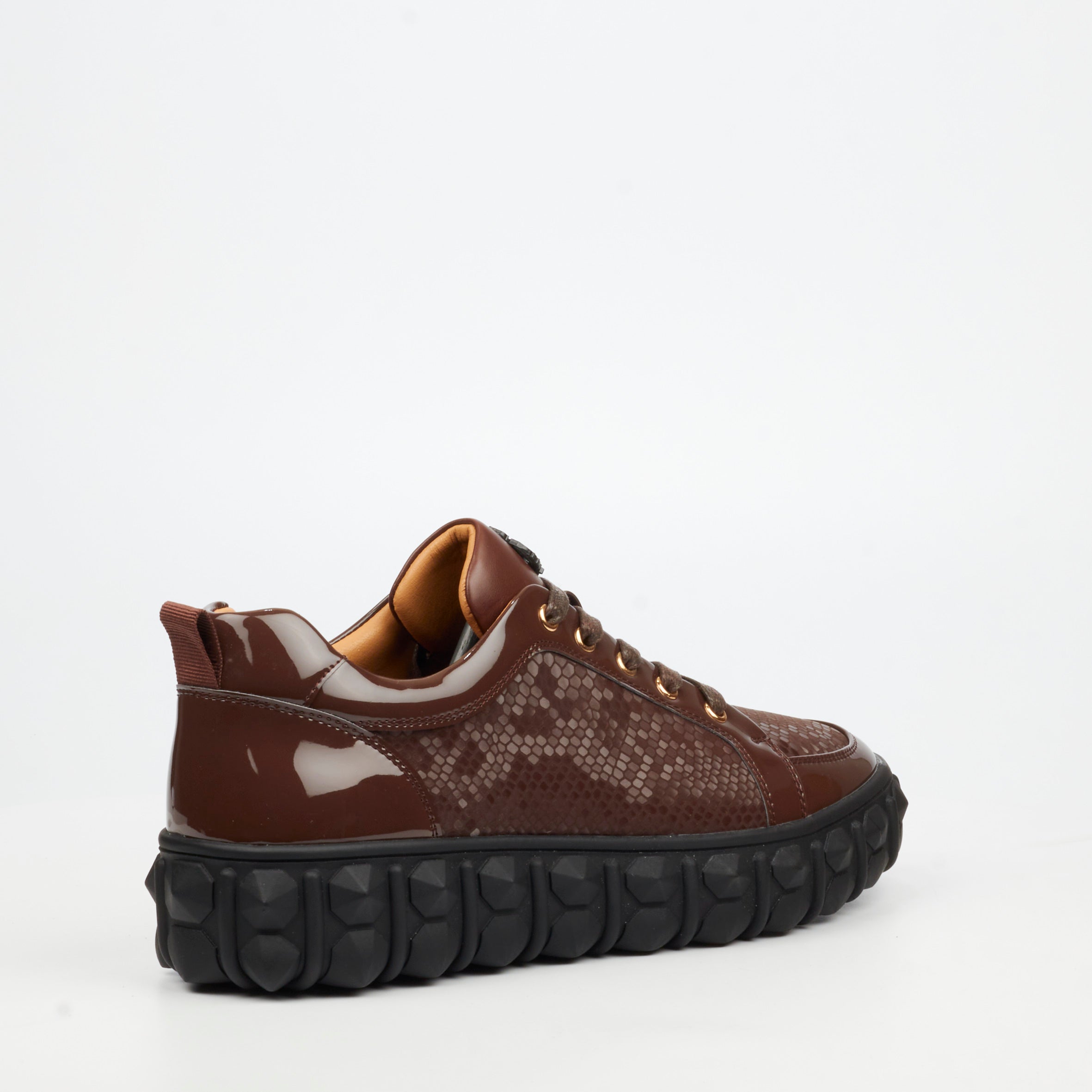 Mazerata Pigale 37 Faux Patent / Snake Sneaker - Chocolate footwear Mazerata