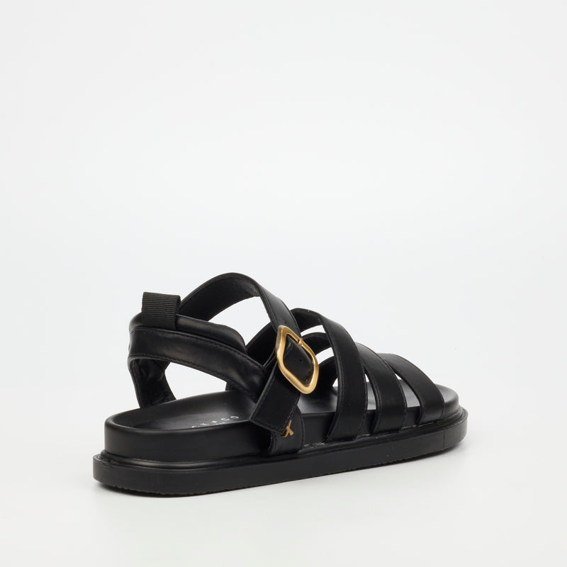 Rock & Co Supreme 1 Sandal - Black footwear Rocknco   