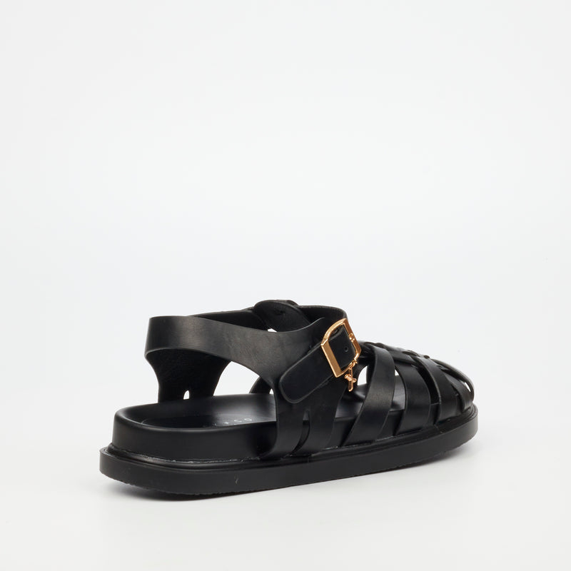 Rock & Co Supreme 2 Sandal - Black footwear Rocknco   