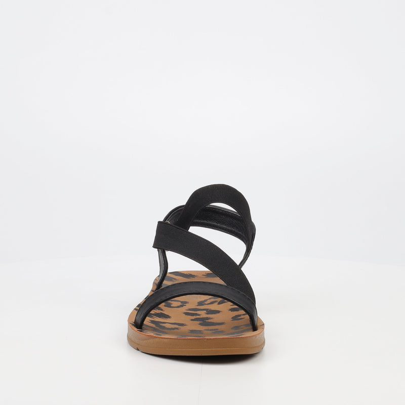 Butterfly Feet Zina 17 Sandal - Black footwear Butterfly Feet   