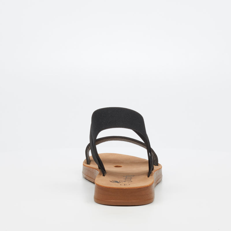 Butterfly Feet Zina 7 Sandal - Black footwear Butterfly Feet