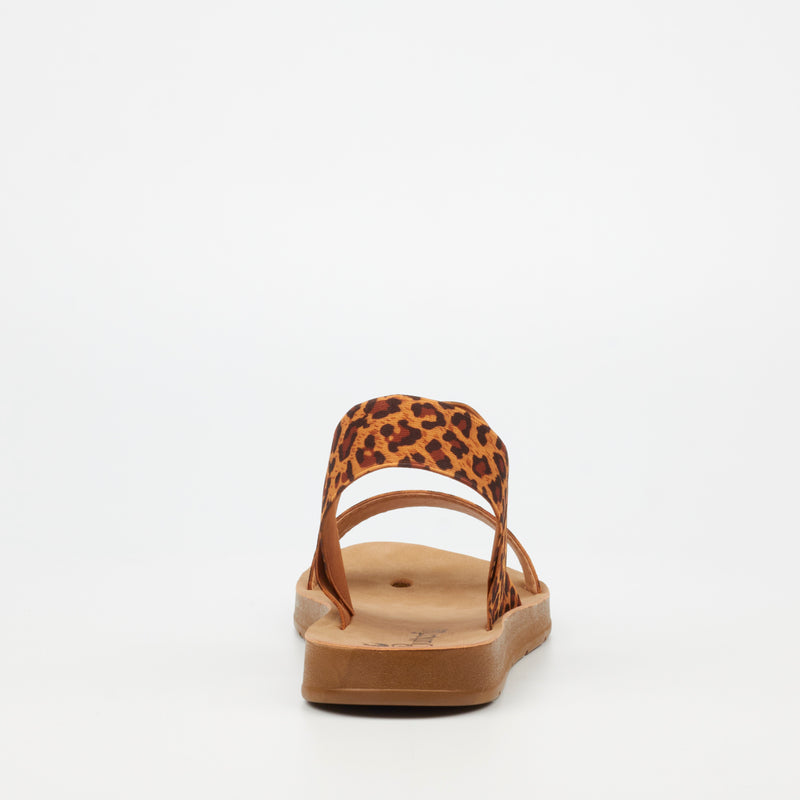 Butterfly Feet Zina 7 Sandal - Leopard footwear Butterfly Feet   